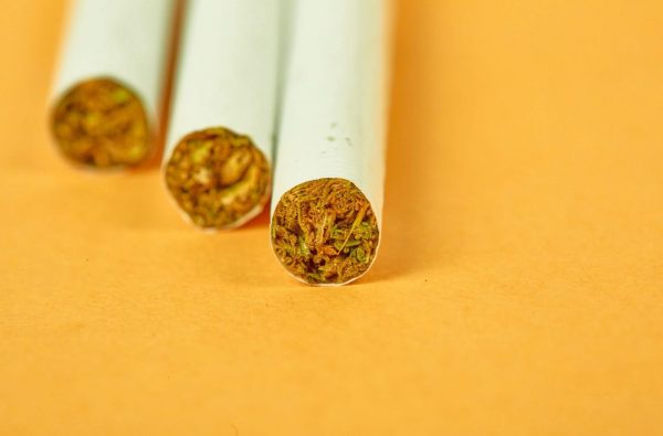 3 pre roll hemp cigarettes